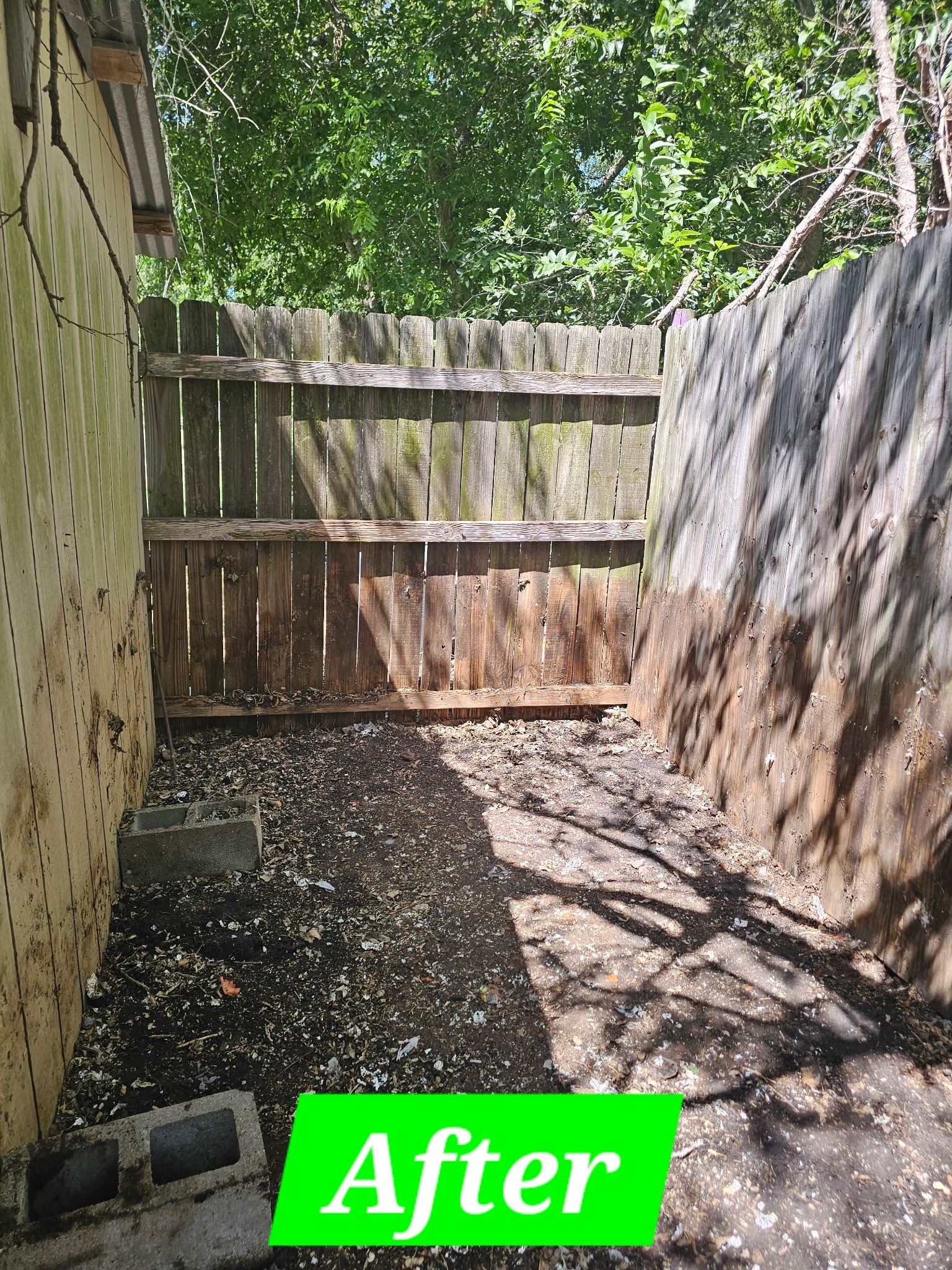 Backyard Cleanout — After