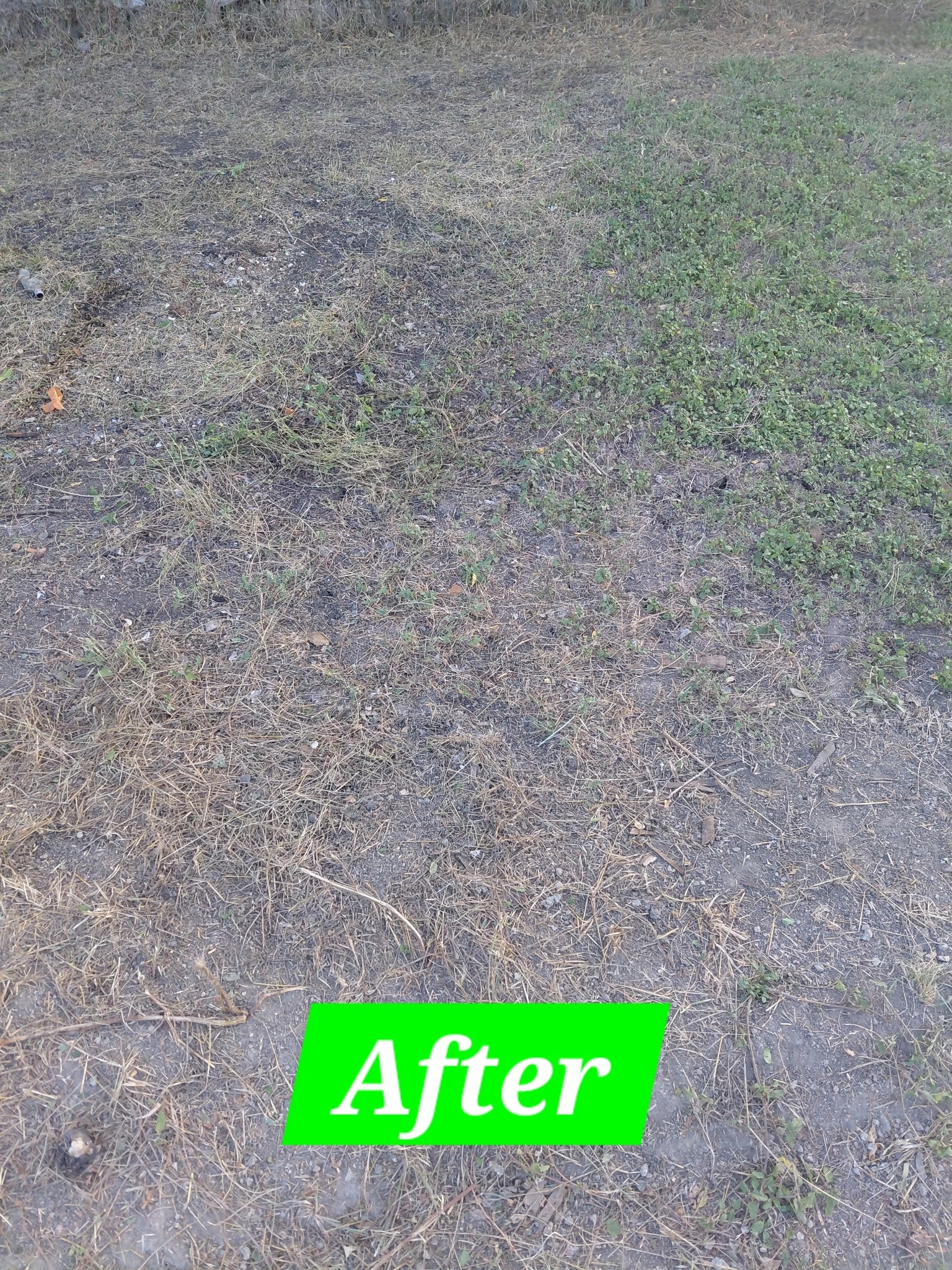 Yard Debris Removal — After